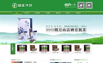自貢黑羽網(wǎng)絡網(wǎng)頁制作案例-福建硒王科技食品有限公司